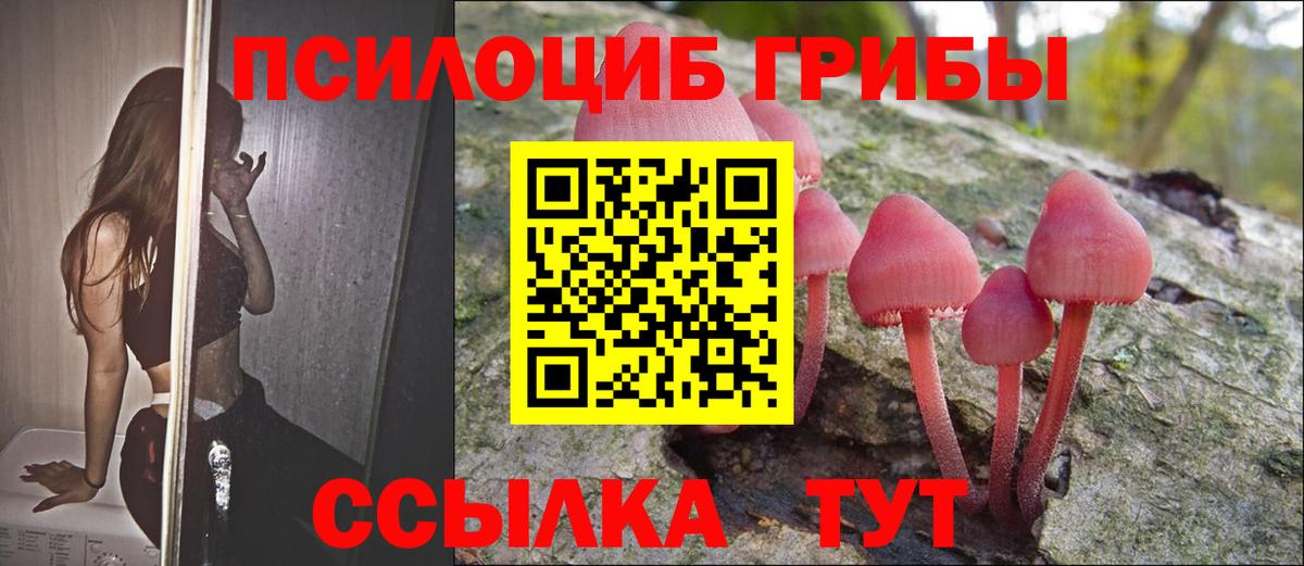 Псилоцибиновые грибы Psilocybe Рузаевка